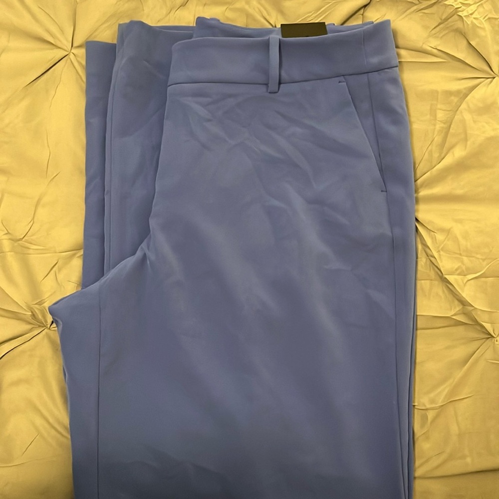Lane Bryant Wide Leg Trouser